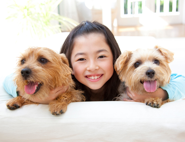 pet-friendly